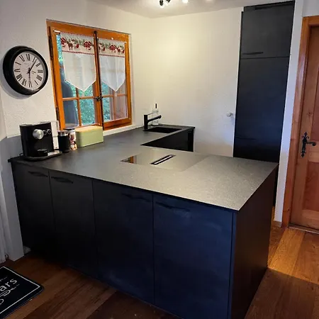 Alpine Family Duplex With Amazing Terrace Apartment *