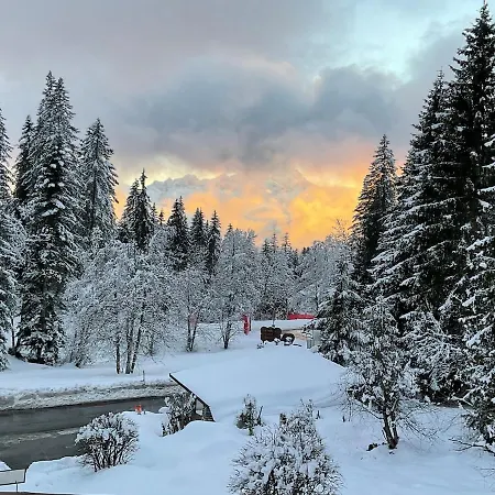 Alpine Family Duplex With Amazing Terrace Apartment *